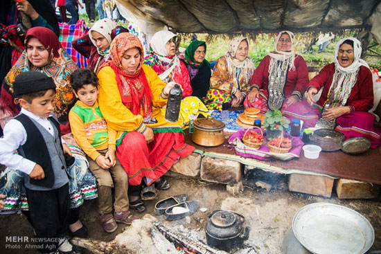 عکس: جشنواره «توت فرنگی» در فندرسک