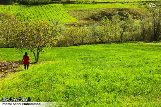 طبیعت محشر کردستان