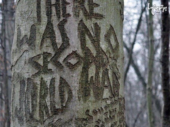 یادداشت های عجیب بیماران روانی روی درخت