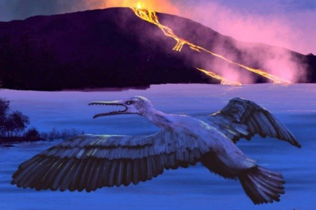 کشف فسیل پرنده 90 میلیون ساله