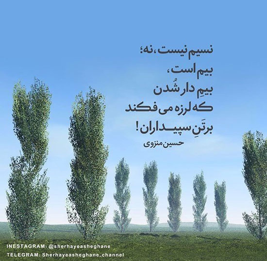 مینی شعر (302)