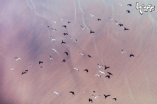 تصاویر هوایی انتزاعی از آفریقای جنوبی