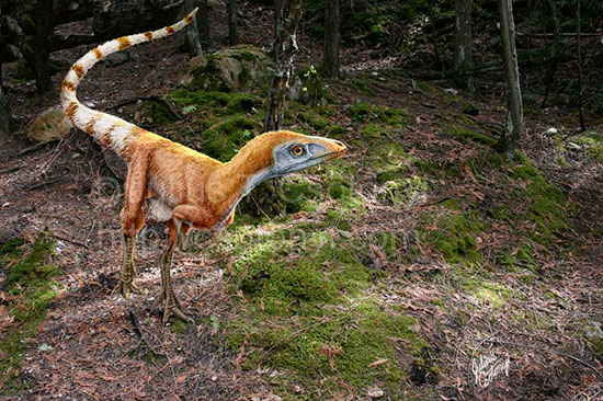 باورهای نادرست و رایج در مورد دایناسورها