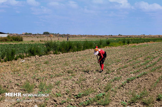 خشکسالی و کمبود آب شرب در روستا‌های گلستان