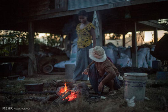 شکار رطیل در کامبوج +عکس