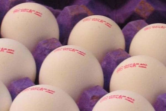 تخم مرغ های ضدسرطان و ضدهپاتیت تولید شد