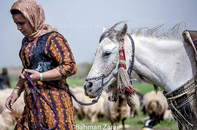 اینجا ایران است (120)