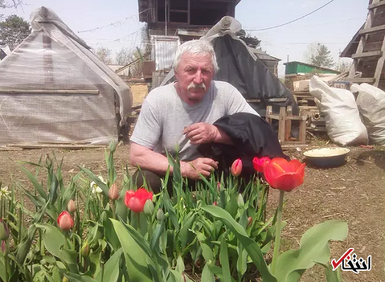 انتقام بی‌رحمانه خرس قهوای از یک مرد روس