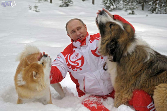 برف بازی پوتین و سگ هایش! +عکس