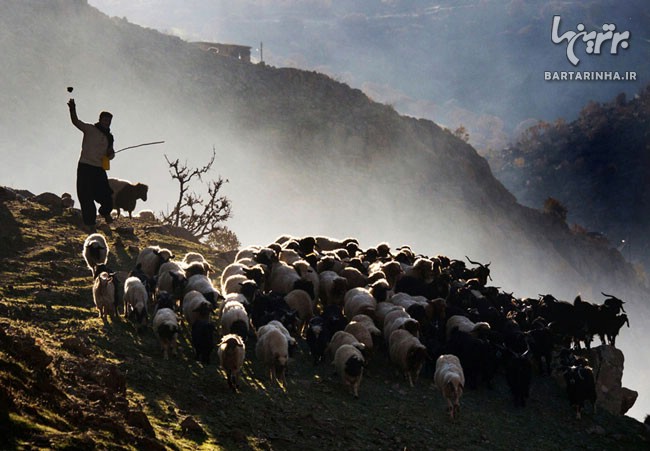 ایران زمین، از دریچه دوربین عکاس نیوزلندی