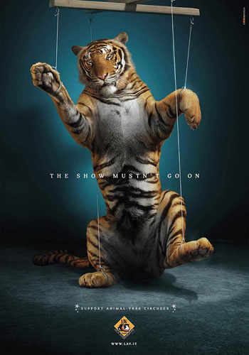 پوسترهای تاثیر گذار در حمایت از حیوانات (2)