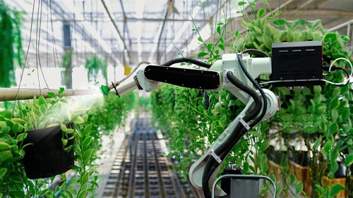 ربات‌ها و هوش مصنوعی؛ کشاورزان متفاوت آینده!