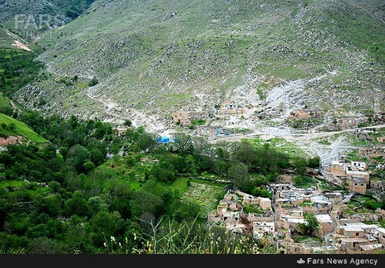 عکس: طبیعت زیبای روستای زیریان