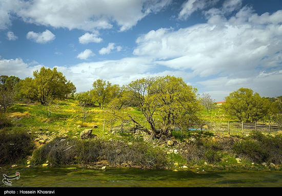 بهشت گمشده در شیراز