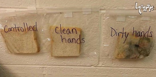 اهمیت شستن دست‌ها را در این آزمایش علمی ببینید