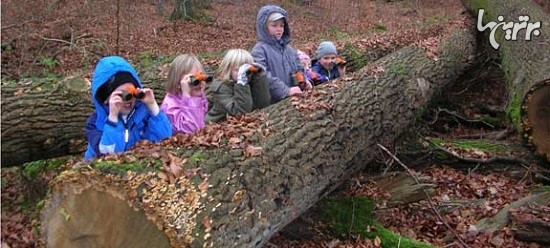 کودکستان های جنگلی در آلمان