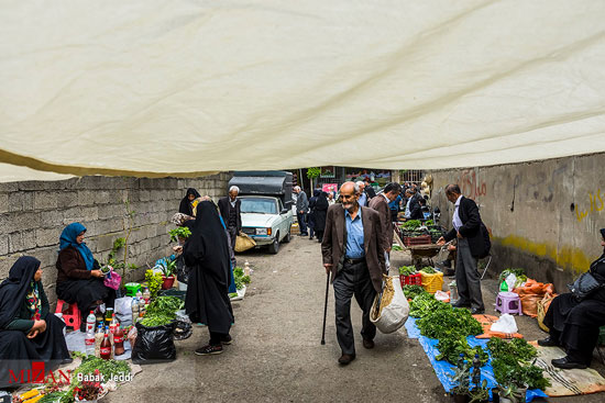 جمعه بازار محلی تولمشهر صومعه سرا