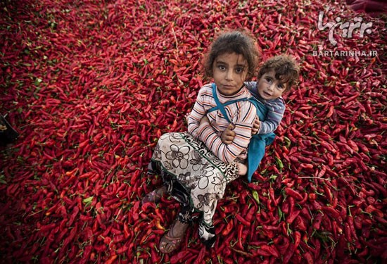 تصاویر برتر هفته از دیدگاه نشنال جئوگرافی