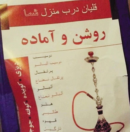 گزارشی از مشاغل عجیب در ایران/سگ گردان‌ها، آدم جمع کن‌ها و قلیان موتوری ها چقدر درآمد دارند؟