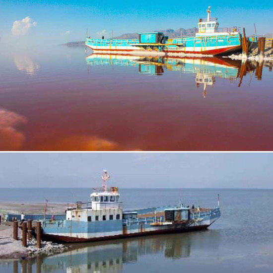 «آرتمیا» پس از ۷سال در دریاچه ارومیه شناور شد