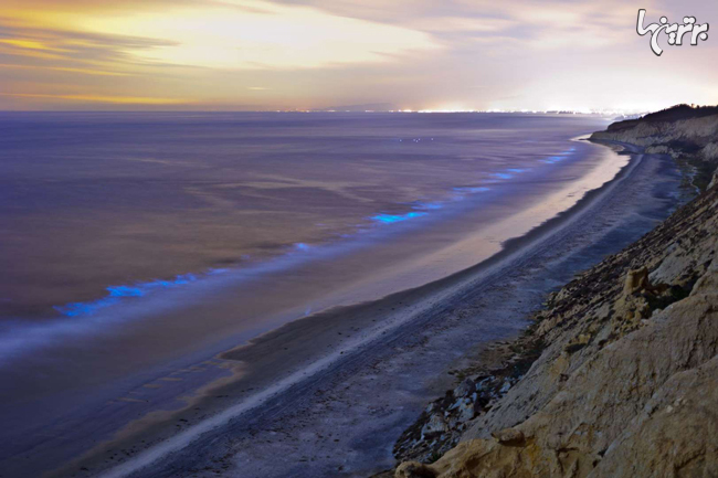 درخشش عجیب ساحل سن دیگو با نور آبی خیره کننده