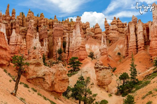 تصاویر زیبا و رنگارنگ از پارک های ملی آمریکا