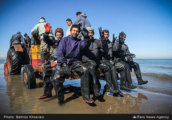 عکس: صید ماهی در سواحل مازندران