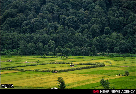 طبیعت جاده های شمال