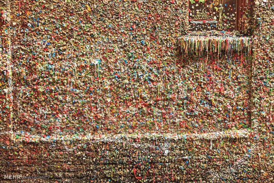 تمیز کردن دیوار معروفِ آدامس‎ +عکس