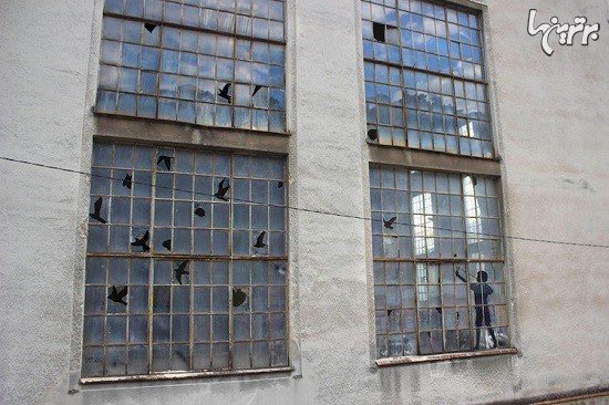 پرندگان درحال پرواز روی پنجره شکسته