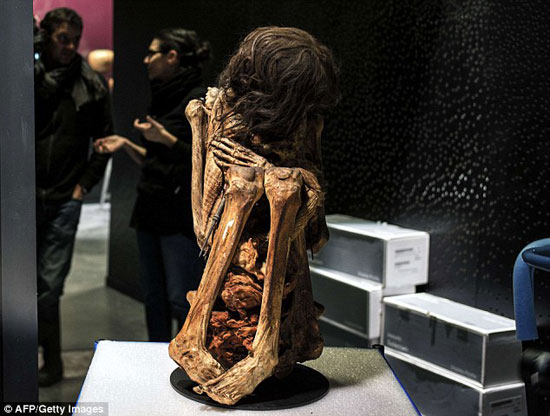 نمایش مومیایی هزار ساله زن پرویی +عکس