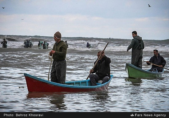 عکس: صید ماهی در سواحل مازندران