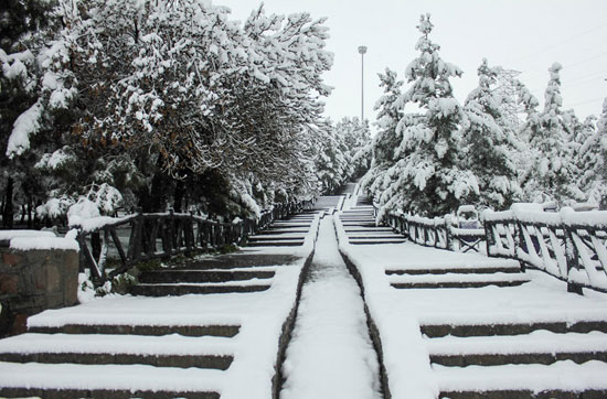 عکس: بارش برف در تبریز