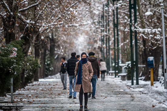 عکس: برف و سرما در تهران