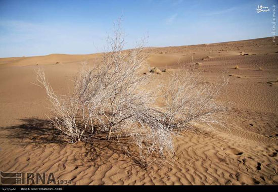 کویر بکر و زیبای بشرویه +عکس