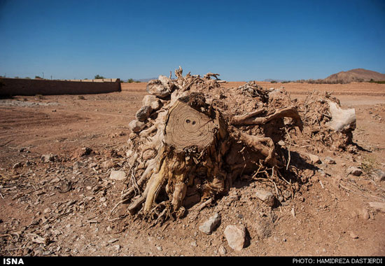 توسعه مرگبار در کرمان