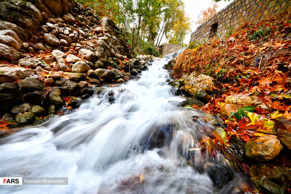 طبیعت پاییزی مهنان