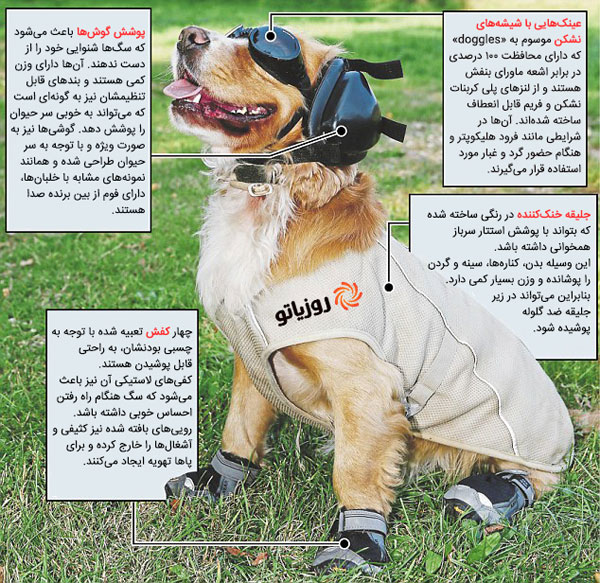 لباس نظامی سگ های ارتش آمریکا در افغانستان