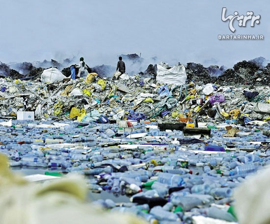 زیباترین جزیره مالدیو در حال نابودی +عکس