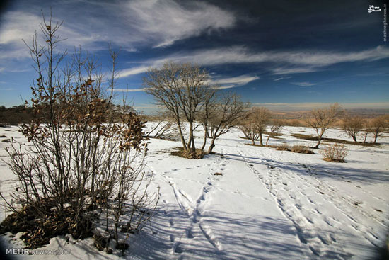 عکس: طبیعت زمستانی رومشگان