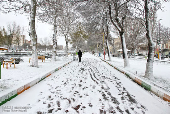 عکس: بارش برف در اردبیل