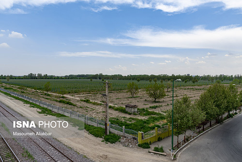 باغ سیب مهرشهر در گذر بهار و تابستان