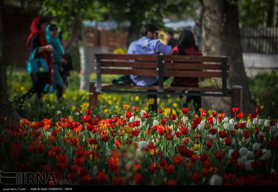 عکس: بوستان زیبای «باغ ایرانی»