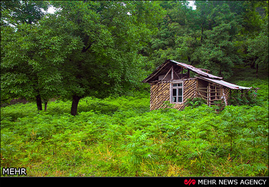 طبیعت جاده های شمال