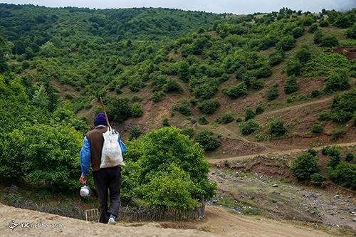 طبیعت زیبای داماش، گیلان