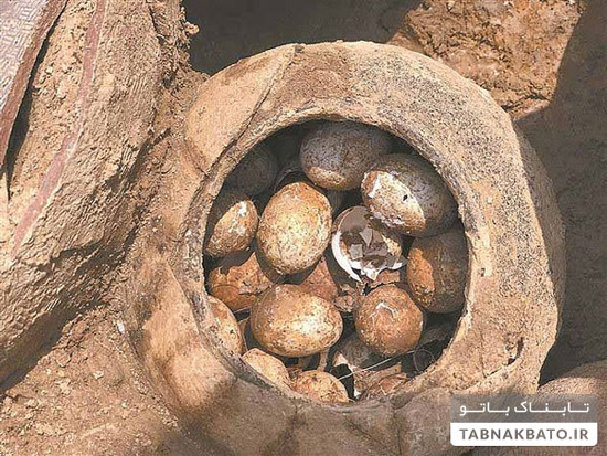 کشف تخم مرغ‌های ۲۵۰۰ ساله در چین