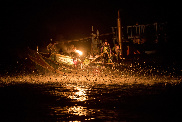 روش سنتی ماهیگیری با آتش در تایوان