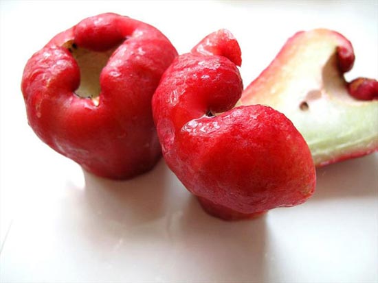 عکس: «سیب رُز» تا بحال دیده اید؟!