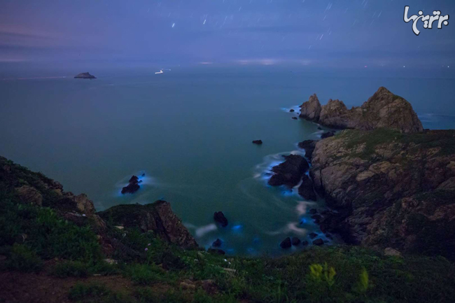 درخشش عجیب ساحل سن دیگو با نور آبی خیره کننده