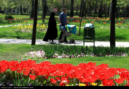 عکس: جشنواره گلهای پیازی در مشهد